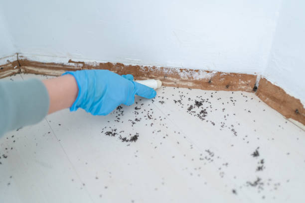 Best Wildlife Control Services  in Locust, NC